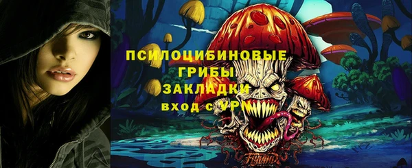 spice Балахна